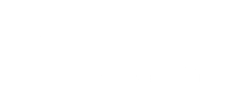 logo america economia